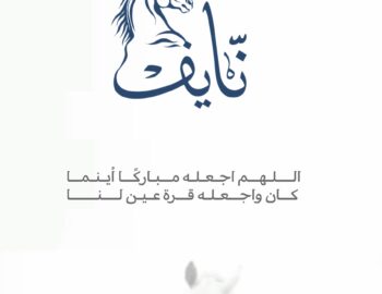 ٢٠٢٤٠٨١٣_٠٢٠٤٣٢